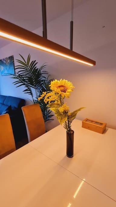 Pool, Sauna & Schwarzwald-Idylle Apartment Unterkirnach Екстериор снимка