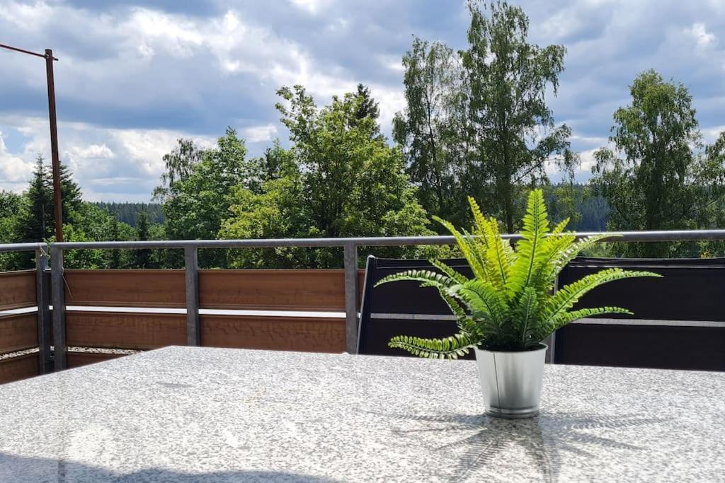 Pool, Sauna & Schwarzwald-Idylle Apartment Unterkirnach Екстериор снимка